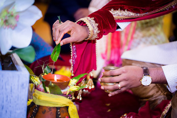 Fototapeta na wymiar Indian wedding ritual leaf