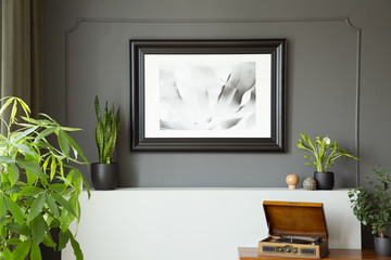 Close-up of a wall with a painting in a black frame, plants and phonograph on a desk