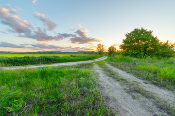 The junction of rural unpaved roads in the grassland in sunset time