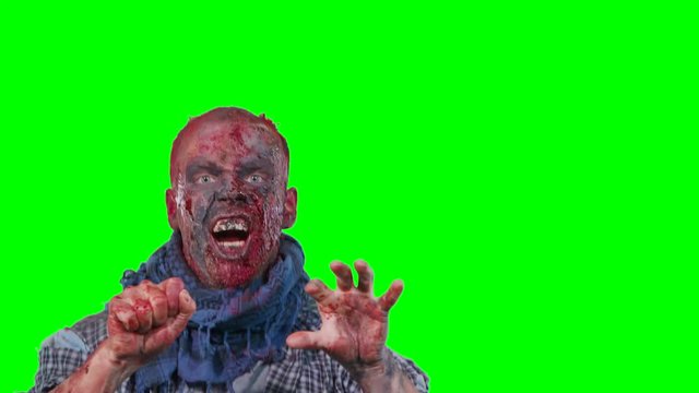Halloween theme horrible scary zombie in clothes breaks out of the bottom of the screen and want to catch you isolated over green screen background