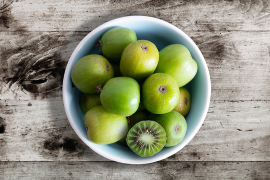 133 Best Baby Kiwi Images Stock Photos Vectors Adobe Stock