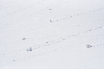 Abstract winter background with frost and snow