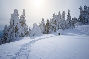 Winter mountain vacations with a snow igloo