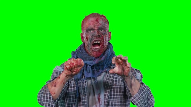 Halloween theme horrible scary zombie in clothes breaks out of the bottom of the screen and want to catch you isolated over green screen background