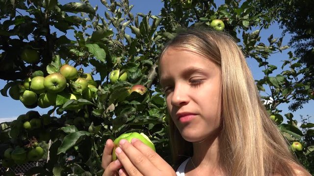 Child in Apple Orchard, Kid Tasting Fruits in Tree, Farmer Girl at Village