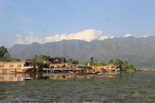 The dal lake in paradise