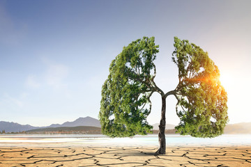 Lonely green tree in the desert. Mixed media