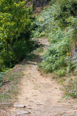 Fototapeta premium Road through the mountain in the valley of aran