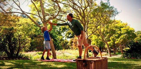 Father and son giving a high five while having picnic