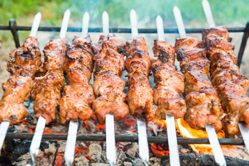 Barbecue with rilled kebab meat on fire