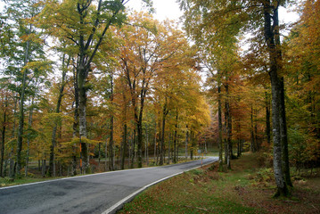 Fototapeta na wymiar Carretera de montaña en otoño.