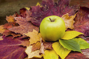 Świeże jabłko na jesiennych liściach