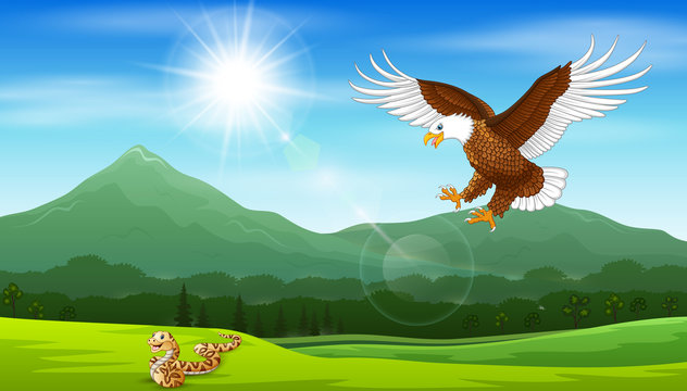 Cartoon of eagle pouncing on snakes