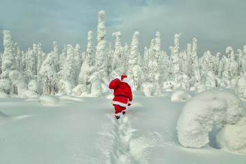 Authentic Santa Claus in Lapland. - obrazy, fototapety, plakaty