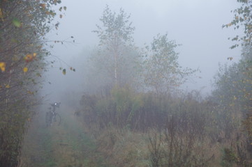 jesienna wycieczka rowerowa w lesie podczas mglistego poranka © Jarek Witkowski