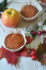 Fall muffins on white rustic background.