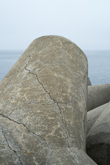 sea bar with protections in stone