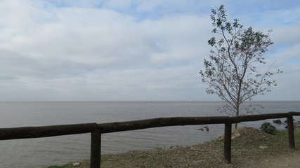 Reserva Ecologica Costanera Sur - Buenos Aires / Argentina