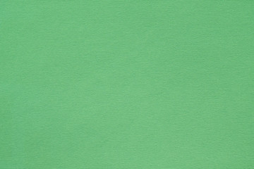 green paper texture background. colored cardboard fibers and grain. empty space concept.