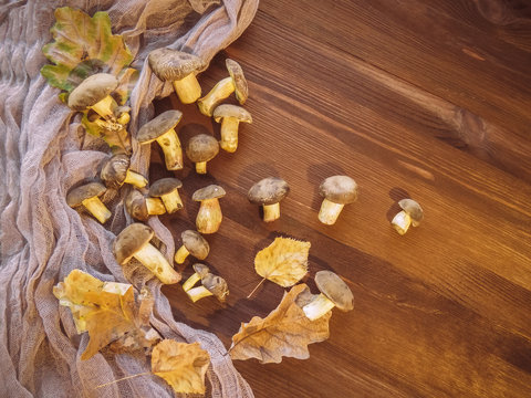 Background of wood and freshly picked Polish mushrooms Top view of mushrooms on wooden background