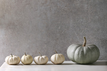 Grey Confection and white whole uncooked decorative pumpkins in row on white marble table with grey...