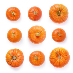 A set of pumpkins isolated in white background. Top view. - obrazy, fototapety, plakaty
