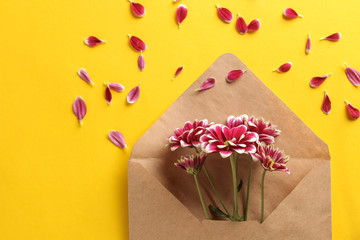 Autumn chrysanthemum flowers in an envelope on a trendy bright yellow background. top view