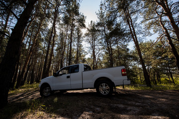 side view of white pickup truck in sunny forest © LIGHTFIELD STUDIOS