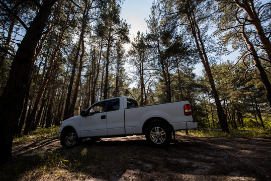 side view of white pickup truck in sunny forest