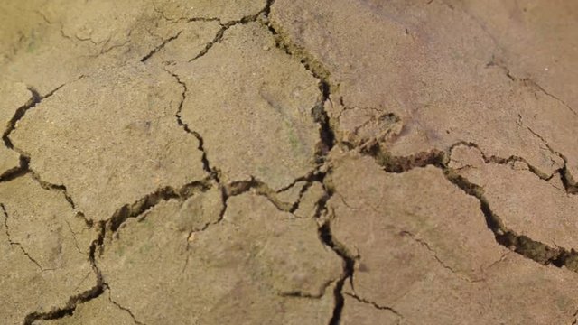 crack growing in shaking ground land destruction Earthquake disaster concept life threat close up background