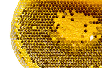 Closeup view of the working bees on honeycomb, Honey cells pattern, Beekeeping Honeycomb texture.