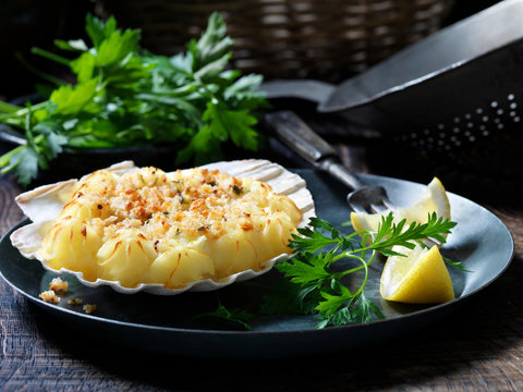 Seafood scallop starter