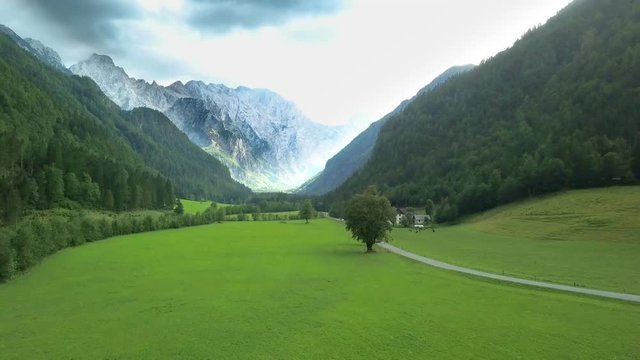 Aerial: Flying in front of beautiful green Logarska valley in Slovenia. Filmed on trip in Logarska dolina valley in Slovenia.
