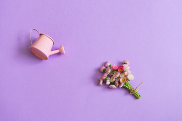 Summer creative composition in minimal style. White and pink Marguerite daisy flowers bouquet and small watering can on light lilac background. Gardening concept, top view, flat lay, copy space