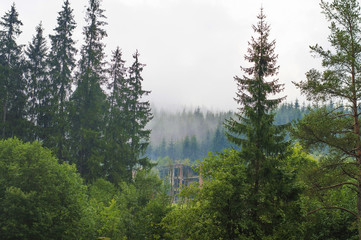  the slopes of the mountains, forest, hills, morning fog, abandoned, ruined building