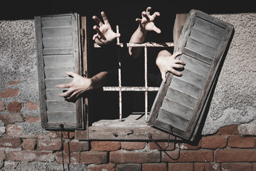 plant, background, dark, wooden, decoration, symbol, illuminated, orange, pumpkin, vegetable,...
