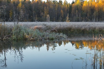 Frosty autumn morning near the river: the first frost