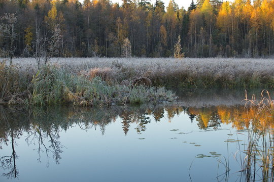 Frosty autumn morning near the river: the first frost