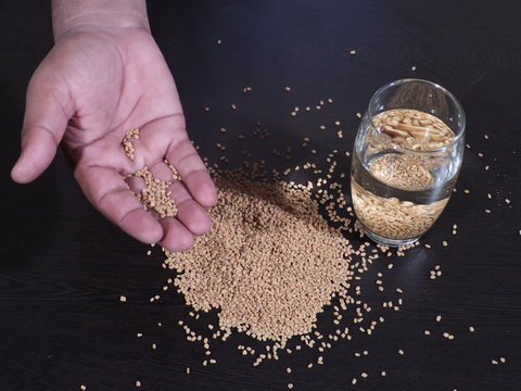 Fenugreek Seeds or Methi Dana drink by soaking it in water overnight. helpful in weight loss, digestion and blood sugar treatment, Methi Dana Drink in Glass on Wooden Background