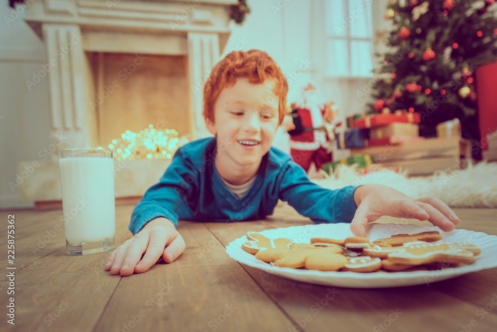 Wall mural Dinner time. Joyful kid smiling while taking gingerbread man