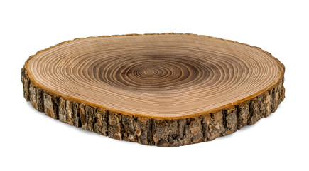 Wood stump isolated on white background. Cross section.