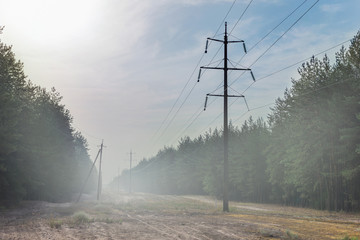 Forest glade with power transmission line right-of-way. Electrical supply wires in fog at early...