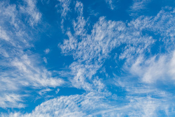 Looking up at fluffy white clouds against a blue sky