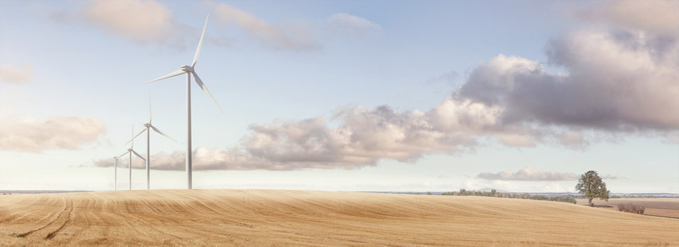Windräder auf einem Feld Panorama