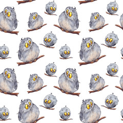 Seamless pattern with owls on white background. Watercolor painted characters.