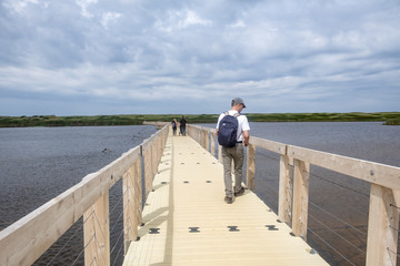 Man Walking on the Floating Boardwalk at the Greenwich Dunes' Trail in Prince Edward Island Canada