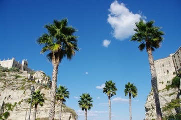 Palmy w Tropei, Włochy - obrazy, fototapety, plakaty