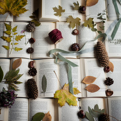 Kreatives Herbstdurcheinander