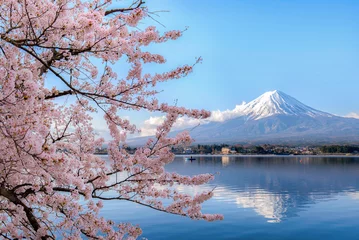 Photo sur Plexiglas Mont Fuji Mount fuji at Lake kawaguchiko with cherry blossom in Yamanashi near Tokyo, Japan.