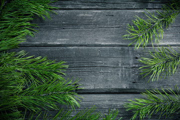 Green fir branches on wooden background